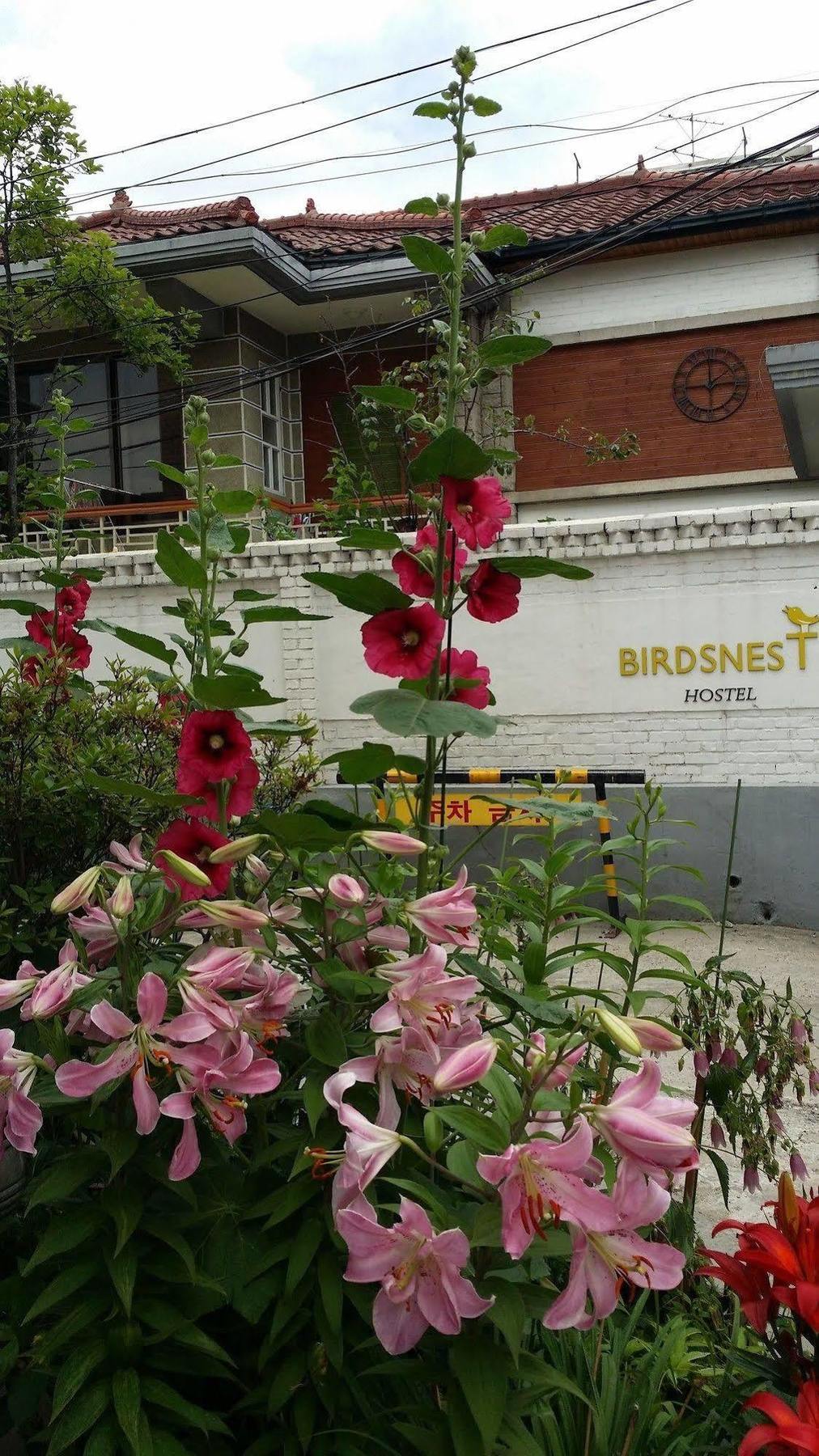 Birdsnest Hostel Hongdae Foreigner Only โซล ภายนอก รูปภาพ